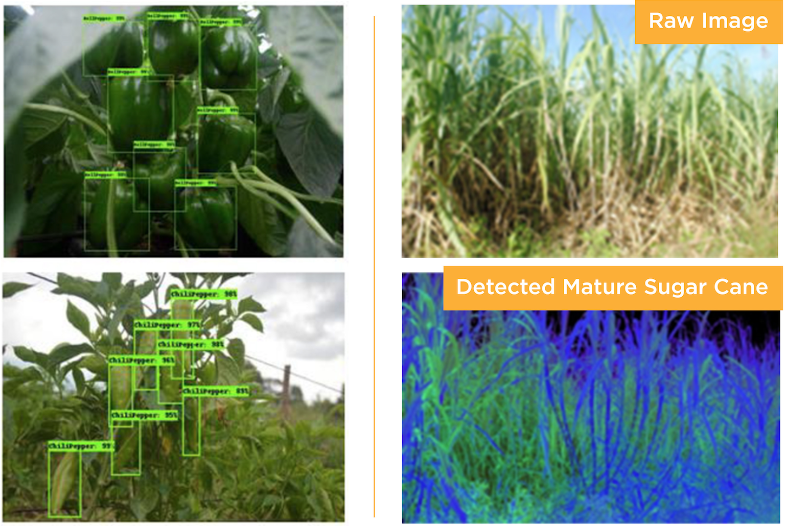 agricultural application sample